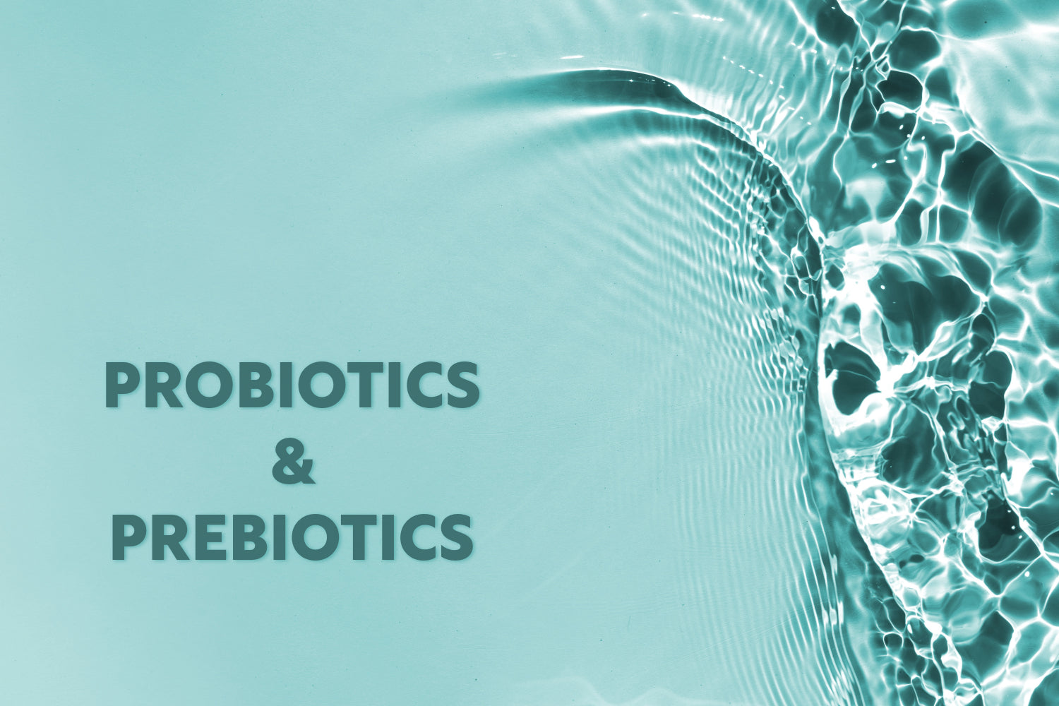 probiotics guide header