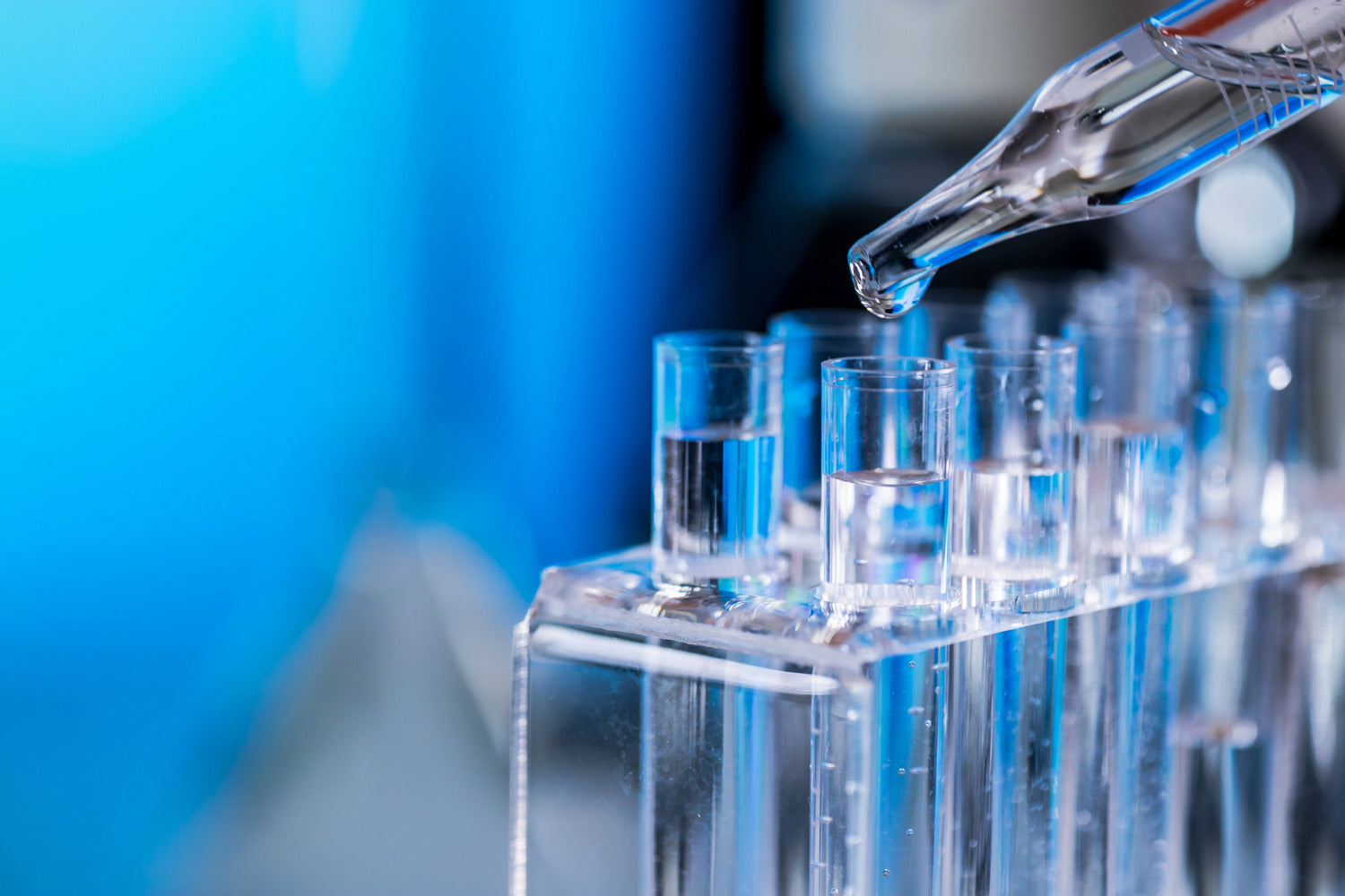 What Exactly Goes Into Our Products?