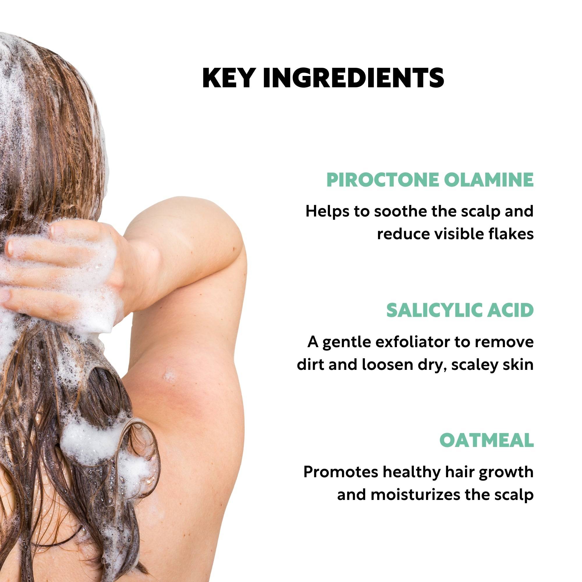 Piroctone Olamine Shampoo Ingredients